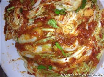 韩式辣白菜的做法步骤14