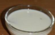 棉花糖牛奶布丁的做法步骤4