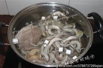 鲜伏芩蛇蝎汤的做法步骤1