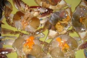 海蟹鲜虾粥的做法步骤1