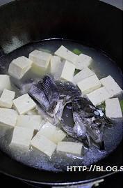 黑鮶鱼豆腐汤的做法步骤7
