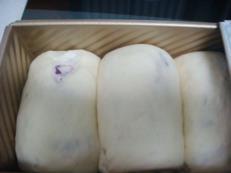 紫薯吐司的做法图解7