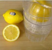 柠檬蜜汁浸海蛰的做法步骤2