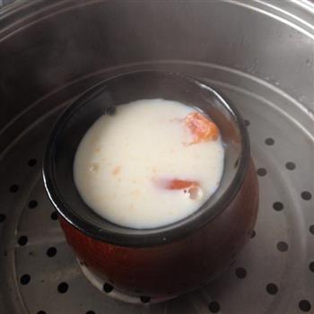 木瓜红枣炖鲜奶的做法步骤4
