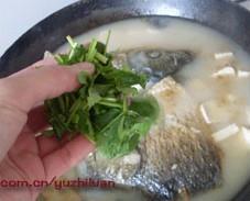 鱼头豆腐汤的做法步骤11