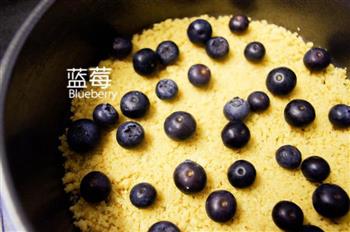 简易版蓝莓香草芝士蛋糕的做法图解12