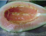 青木瓜排骨汤的做法步骤2