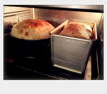天然酵种意大利复活节面包的做法图解7