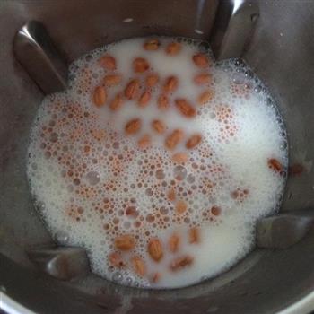 花生牛奶的做法步骤2