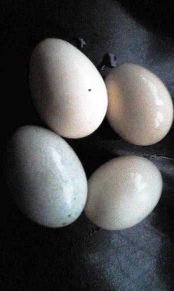 皮蛋咸蛋蒸鸡蛋的做法步骤1