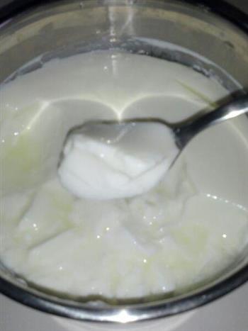 家庭自制酸奶的做法步骤3