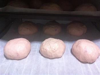 紫薯面包的做法步骤4