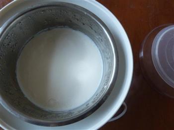 自制美味老酸奶的做法图解6