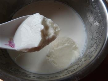 自制美味老酸奶的做法步骤9