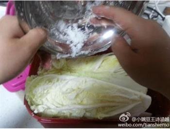 Amy家韩式辣白菜的做法步骤10