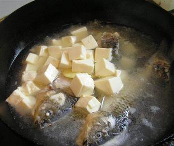 奶白色的鲫鱼豆腐汤的做法步骤4