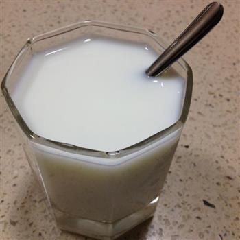 牛奶蜜水-每天一杯 美白又养颜的做法步骤4