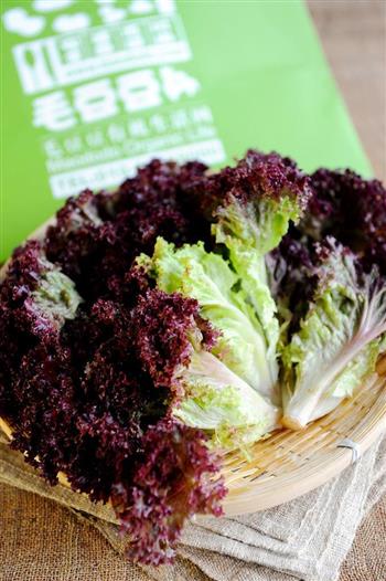 三文鱼配紫叶生菜的做法步骤1