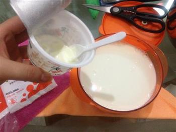 自制酸奶的做法图解6
