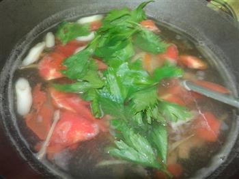 番茄猪肝汤的做法步骤9