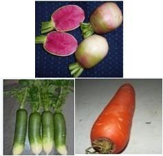 三色萝卜泡菜的做法步骤1