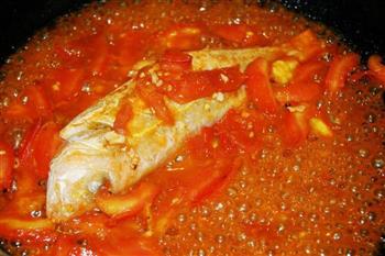 番茄煮红衫鱼的做法步骤1