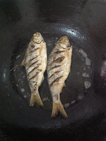 香煎小黄鱼的做法步骤3