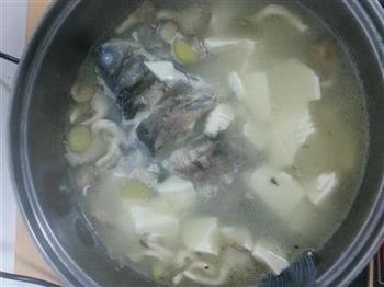 平菇豆腐鱼汤的做法图解3