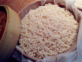 温州糯米饭—附带豆浆、饭团的做法步骤2