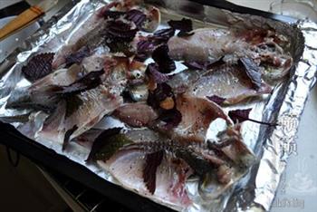 紫苏烤鱼的做法图解5