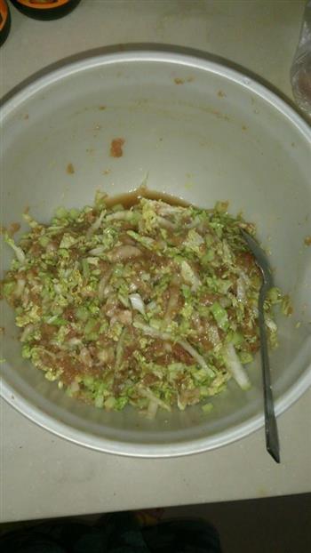黄瓜白菜饺子的做法步骤4