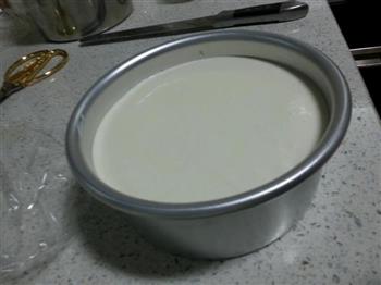酸奶冻芝士蛋糕的做法步骤9