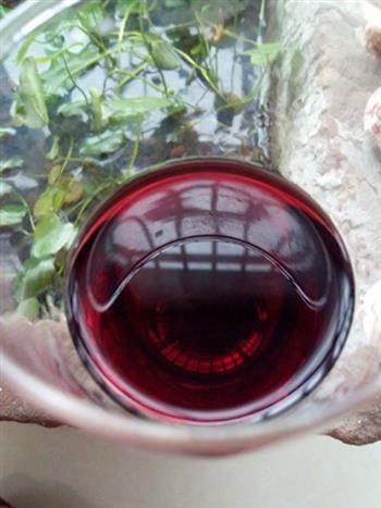 自酿野生山葡萄酒的做法步骤7
