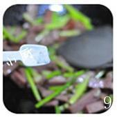 午餐肉炒芦笋的做法步骤9