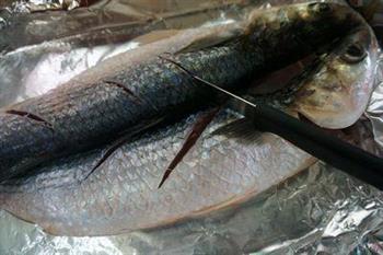 广东风味-烤黑鱼的做法的做法图解5
