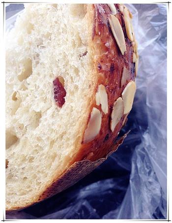 节日面包-天然酵种潘妮托尼的做法图解9