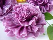 紫薯康乃馨的做法图解9