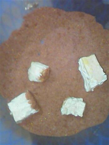 自制豆腐乳的做法图解4