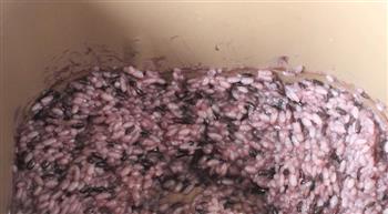 蜜豆紫米条头糕的做法图解6