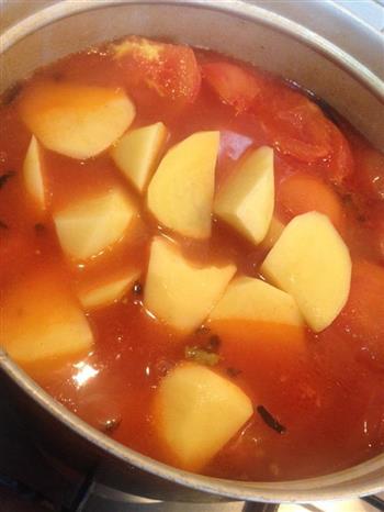 蕃茄土豆排骨汤的做法图解11