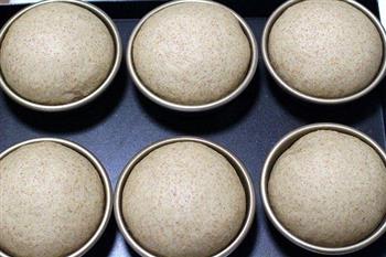 全麦面包里到底有多少全麦面粉的做法图解4