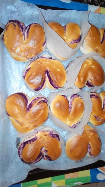 紫薯面包-心紫薯于你的做法步骤15