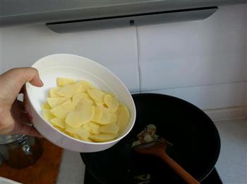 老黄瓜种炒土豆片的做法步骤5
