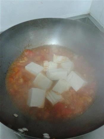 番茄炖豆腐的做法图解5