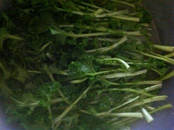 虾皮炒小苔菜的做法步骤3
