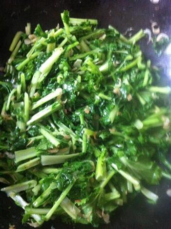 虾皮炒小苔菜的做法步骤5