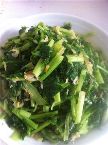 虾皮炒小苔菜的做法步骤6