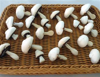 蘑菇蛋白糖的做法图解17
