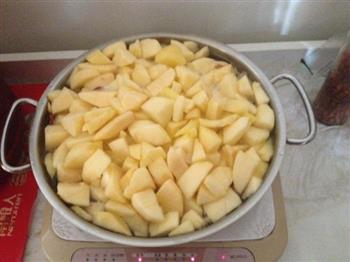 自制苹果酱的做法步骤1