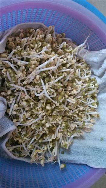 自发绿豆芽的做法步骤1